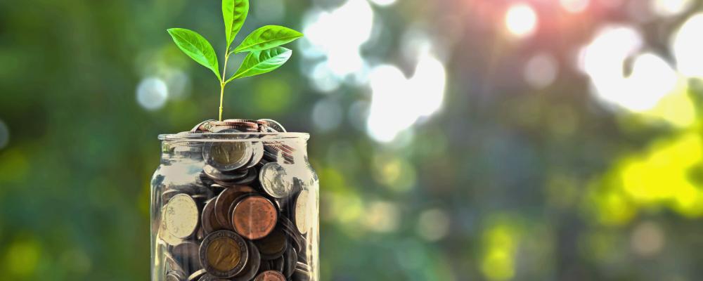 Jar of coins with a small plant growing inside