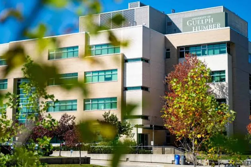 This is an image of the University of Guelph-Humber's campus buildings.