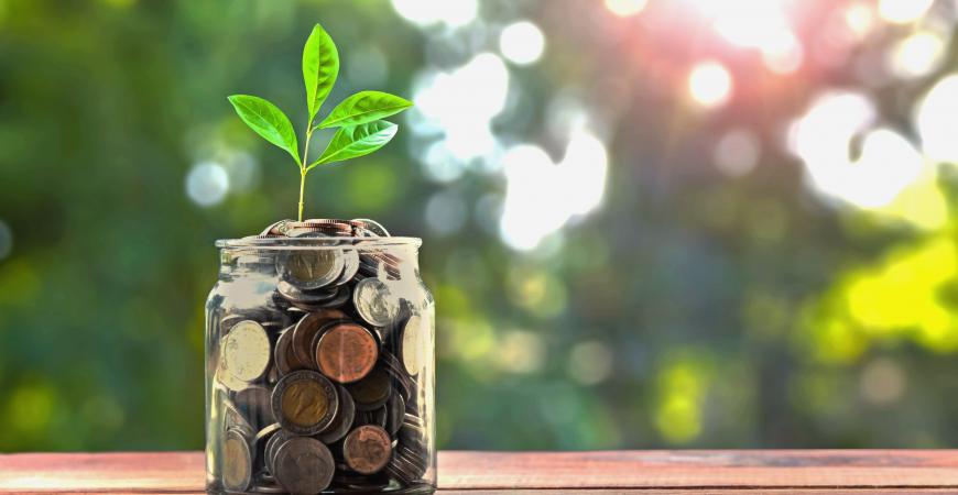 Petite plante qui pousse dans un bocal de pièces de monnaie près d'une fenêtre bien éclairée