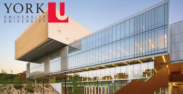 York University