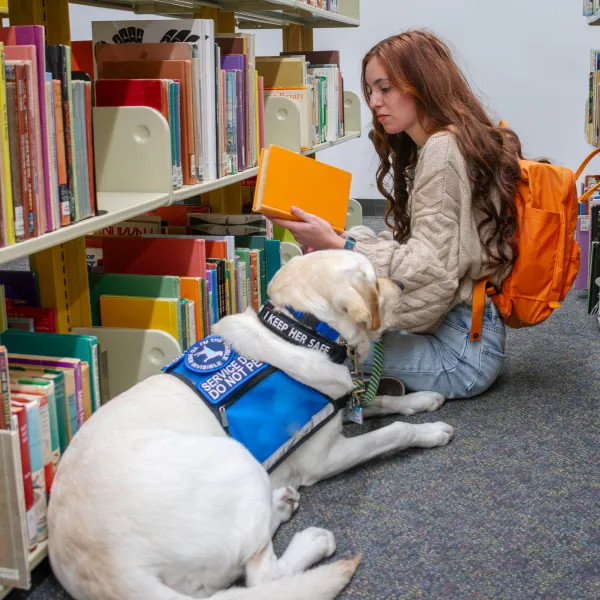 Young woman with service dog sits in university library looking at books