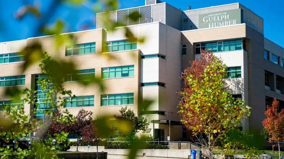 This is an image of the University of Guelph-Humber's campus buildings.