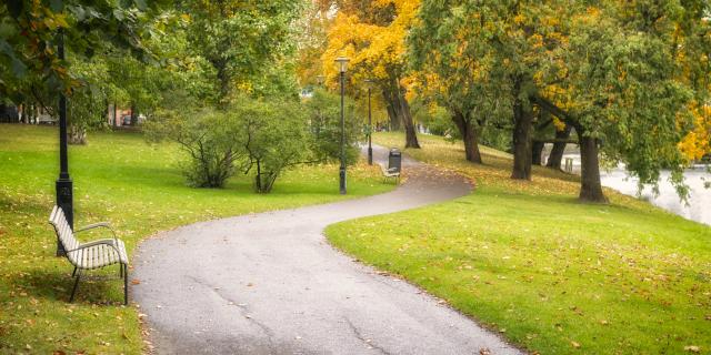 Path through trees in a park