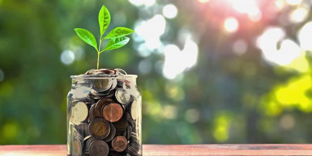 Petite plante qui pousse dans un bocal de pièces de monnaie près d'une fenêtre bien éclairée